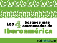 Los 4 bosques más amenazados de Iberoamérica