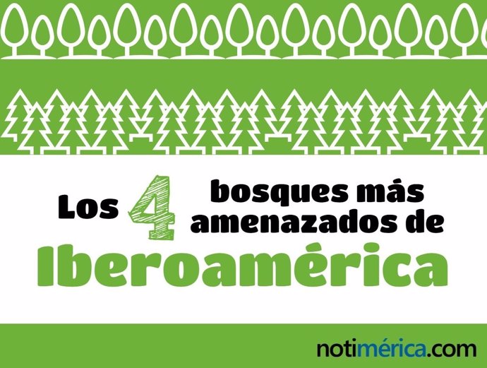 Los 4 bosques más amenzaados en Iberoamérica