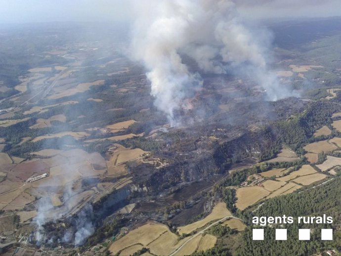 Terreno quemado por el fuego de Artés (Barcelona)