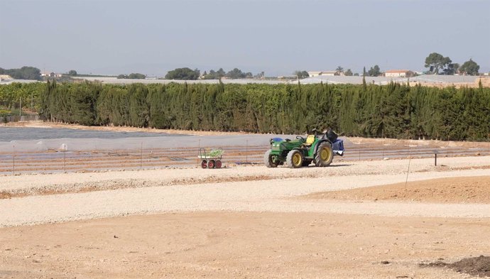 Parcela cultivo Murcia