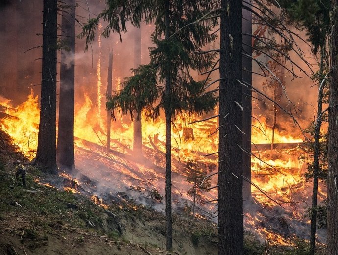 Incendi forestal