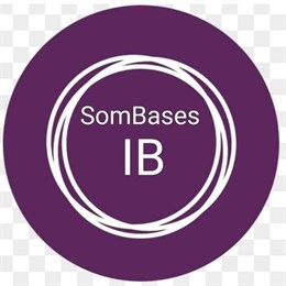 Nueva alternativa política en Podemos de Baleares