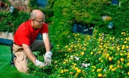 Acciona Service trabajador mantenimiento de jardines