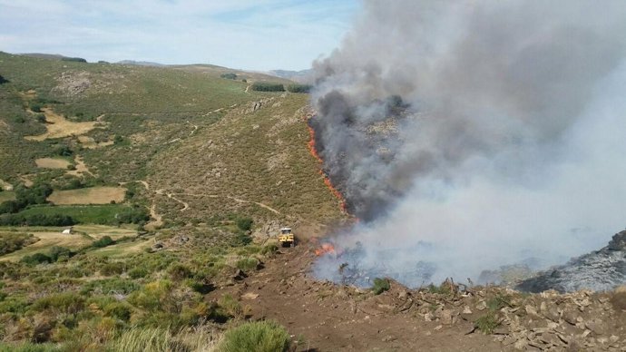 Imagen de las tareas de extinción del incendio en Navarredonda de Gredos
