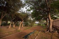 La capital gomera contará con un parque canino en el Parque de la Torre del Conde