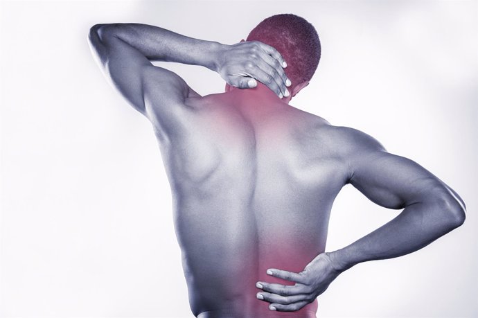 Cómo hay que cuidar los músculos de la espalda? -canalSALUD