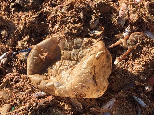 Barcos de arrastre del Mediterráneo extraen basura marina que Ecoalf hace tejido