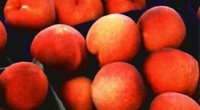 La UAGR-COAG alerta de la "crisis de precios" en origen de la fruta de hueso