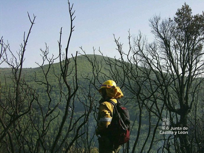 Imagen de un bombero forestal en Navarredonda