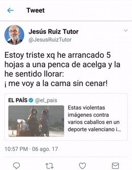 Tuit de Ruiz Tutor