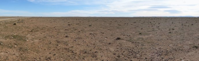La estepa de esparto de Argelia, en peligro de desertificación
