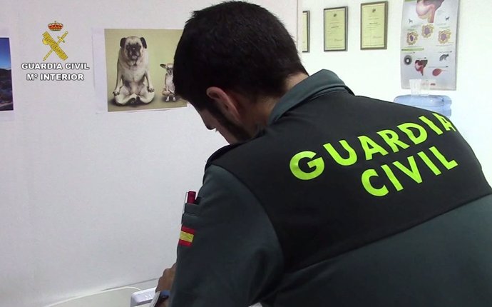 Inspección a una clínica veterinaria de Palma