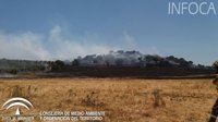 El Infoca da por controlado el incendio forestal de Gibraleón