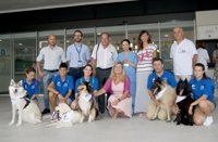 Dogspital, el proyecto para que pacientes ingresados reciban la visita de su perro