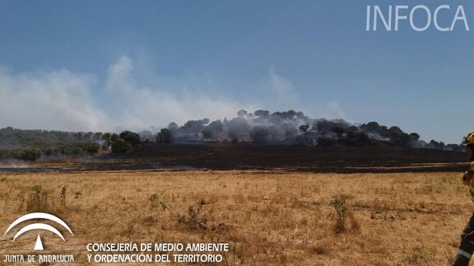 Incendio declarado en Gibraleón (Huelva)