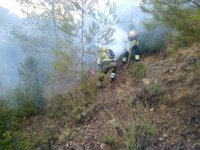 Extinguido el fuego de Yeste tras 13 días extinción y más de 3.000 hectáreas quemadas