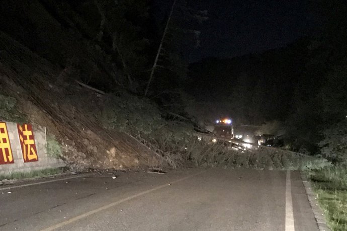 Árboles caídos por el terremoto en el condado de Jiuzhaigou