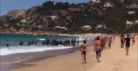 Cerca de 40 inmigrantes desembarcan en una playa de Zahara (Cádiz) ante la sorpresa de los bañistas