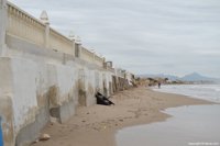 Mata (PSPV): "Si Rajoy hiciera menos caso a su primo y más a expertos, no veríamos desaparecer las playas valencianas"