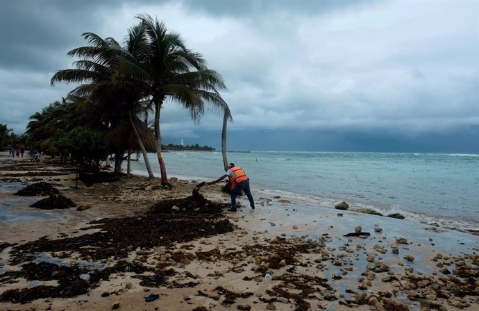 Un trabajador retira las hojas de palmera tras el paso del 'Franklin' en México.