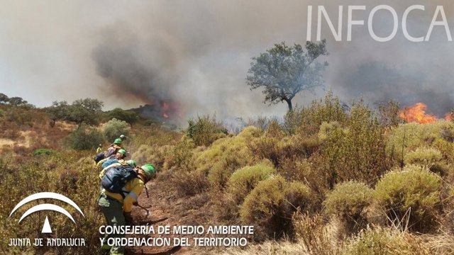 Imagen del incendio de este jueves en El Castillo de las Guardas (Sevilla)