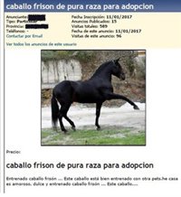 Detenido por estafar a un vallisoletano al que ofreció en internet adoptar un caballo