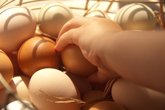 Foto: FACUA reclama al Gobierno mayor transparencia para tratar todo lo relacionado con los huevos contaminados por fipronil