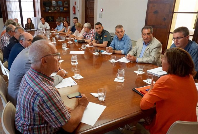 La directora general de Turismo, Pilar Carbonell, presidiendo la reunión