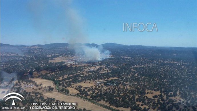 Incendio en El Real de la Jara este viernes