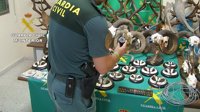 Cinco detenidos y tres investigados en una operación contra la caza furtiva en Saucedilla