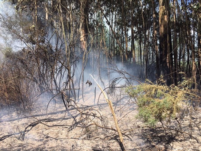 Ordes incendios forestales