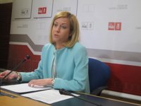 PSOE ve con "satisfacción" como "se reducen las listas de espera" gracias al trabajo de profesionales y Junta