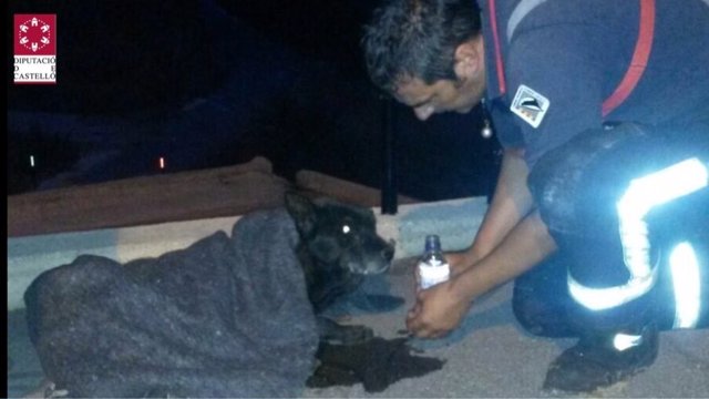 Los bomberos lo cubrieron con una manta