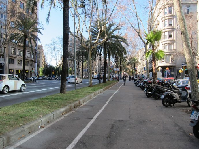Un Carril Bici En L'Avinguda Diagonal De Barcelona