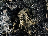 Detenido el autor del incendio forestal declarado en el Geoparque de las Villuercas, Ibores y Jara