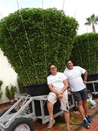 Las 'Alfàbegues' de Bétera se quedan sin su récord por dos centímetros