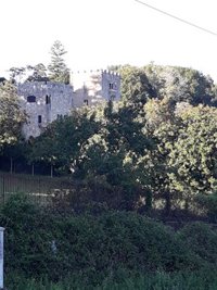 El BNG pide declarar a la familia Franco y a la Fundación "no gratos" en Galicia