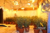 Intervenidos casi 10 kilos de marihuana y desmantelado un cultivo interior en Villarrobledo