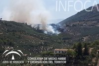 La hoguera de unos menores para mostrarla en Internet, posible causa del incendio de Jaén