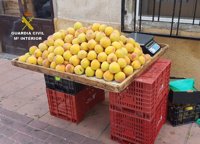Sorprenden a un vecino de Cieza cuando vendía en un mercado dos toneladas de melocotones sustraídos