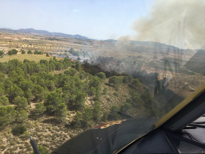 Imagen del incendio desde un helicóptero del Plan Infomur