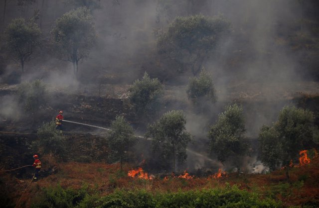 Trabajos de extinción del fuego cerca de Gois (Portugal)