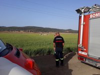 El fallecido en el siniestro de avioneta en Barbate, cuya causa podría ser un choque con un ave, es vecino de Córdoba
