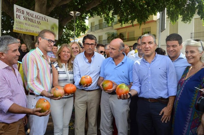 Ministro economía luis de guindos bendodo alcalde coín tomate huevo toro