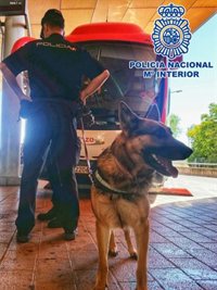 Las fiestas de San Lorenzo de Huesca registran 116 personas denunciadas