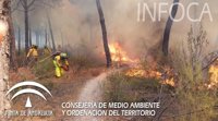 Activado el nivel 1 de Emergencias y desalojado un albergue por el incendio de Cartaya