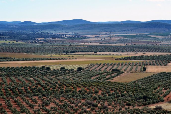 Campo, Tierras raras