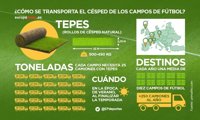 ¿Cuántos camiones de césped se necesitan para un campo de fútbol?