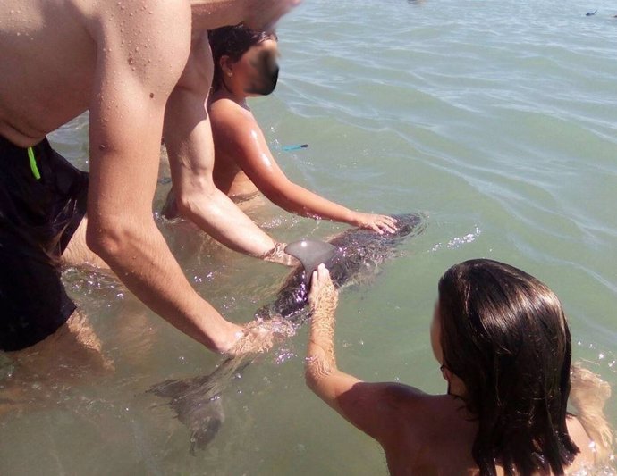 Delfín varado en la playa de Mojácar