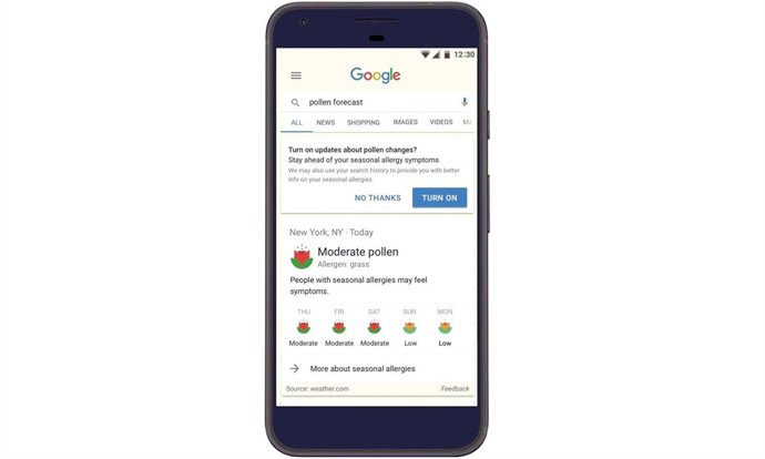 Google temporada de alergias notificaciones smartphone internet
